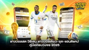 แทงบอลสด